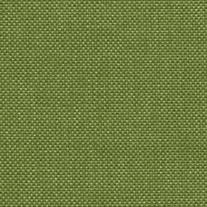 FORNAX 13